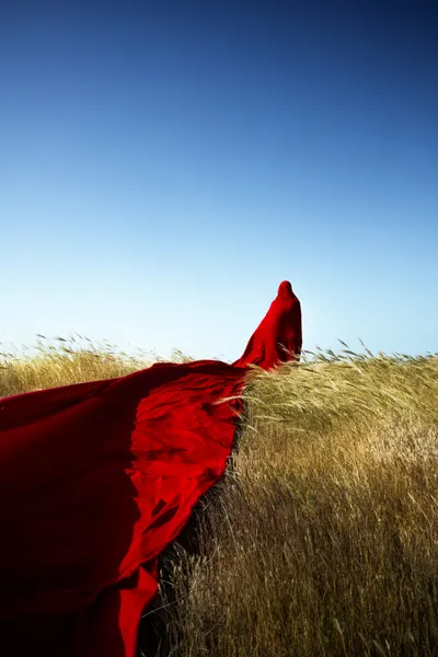 Red Fabric Open Horizon by Hooman Sedaghi
