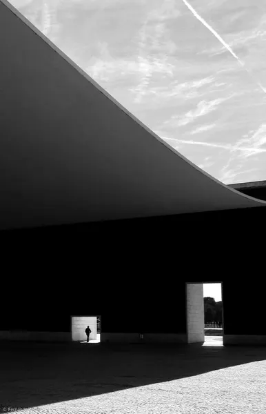 The search for light by Fernando Alves