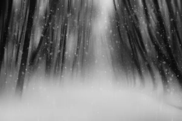 Falling Winter Snow by YoungIl Kim