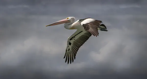 On a mission by Emanuel Papamanolis