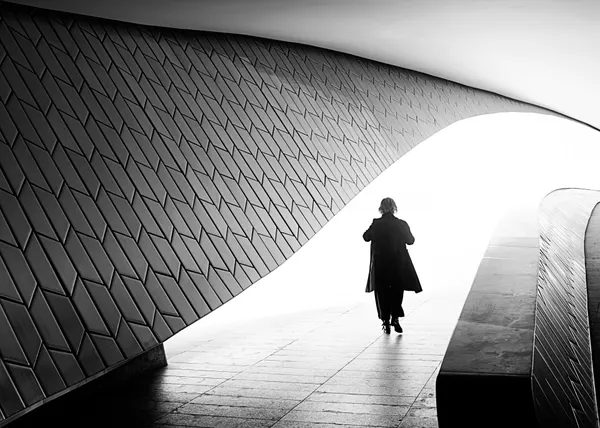 Walking Through Light by Luca Domenichi