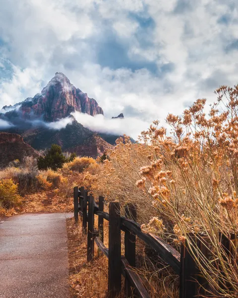 Misty Mountain Path by Syed Iqbal