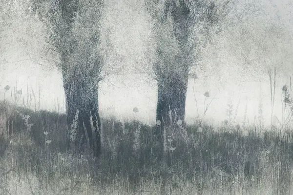 Memories by Nel Talen