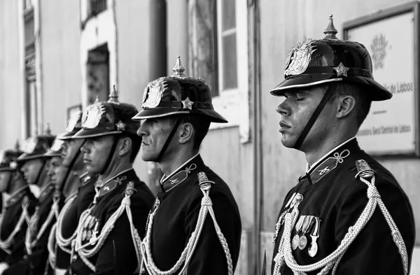 Solemn Military Guards by Fernando Alves