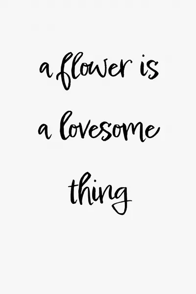 Lovesome Flower Quote by Pictufy Studio II