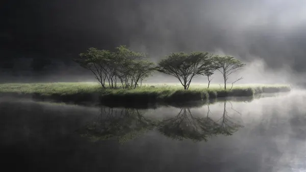 Misty Morning Reflection by Akira Nagase