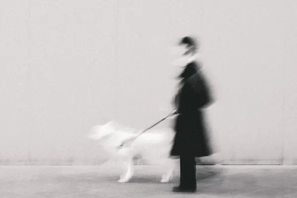 Motion Blur Dog Walk by Roberto Ruoli