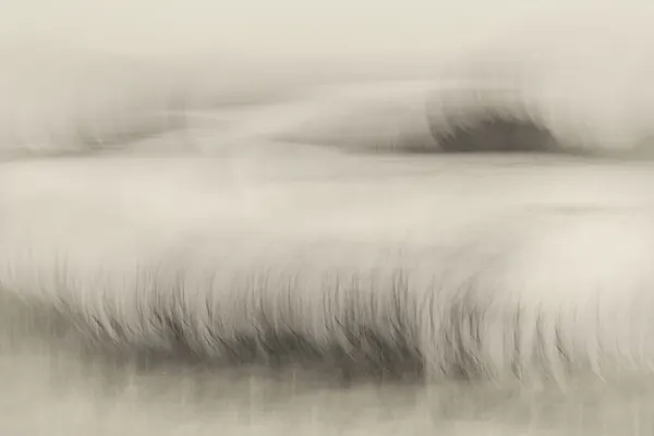 Waterside by Nel Talen