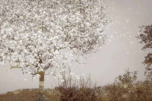 Fruit tree by Nel Talen