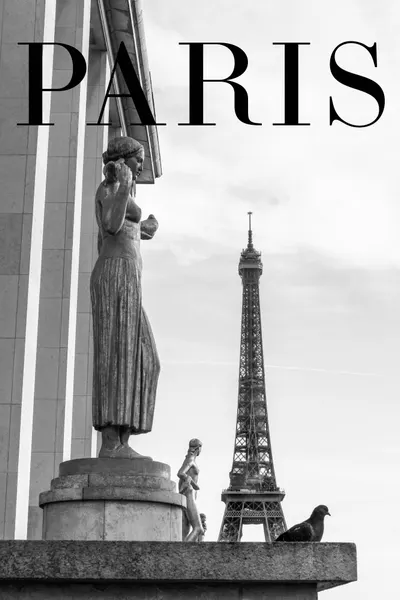 Paris Eiffel Tower View by Pictufy Studio III