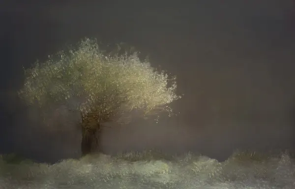 Willow by Nel Talen