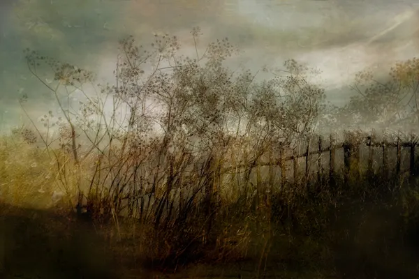 Old dream by Nel Talen