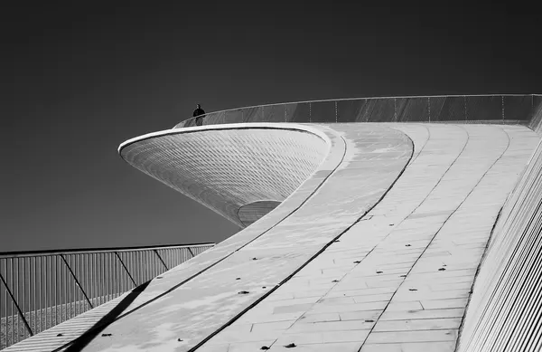 Modern Curves Outlook by Fernando Alves