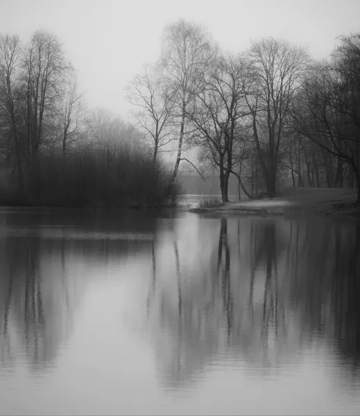 Misty Winter Reflections by Ingrida Urbonavičienė