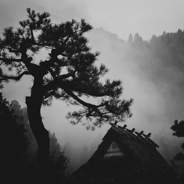 Misty Mountain Homestead by Tsuneya Fujii
