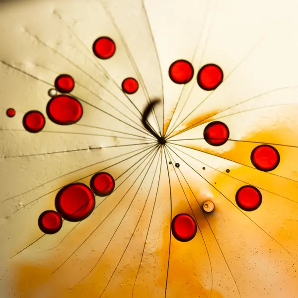 Red Dandelion Droplets by Ileana Bosogea-Tudor