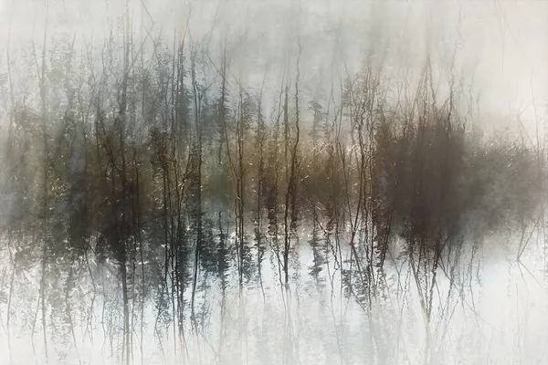Day dreams by Nel Talen