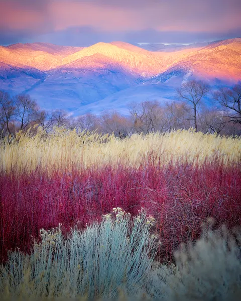 Vibrant Mountain Fields by Kirbyturnage