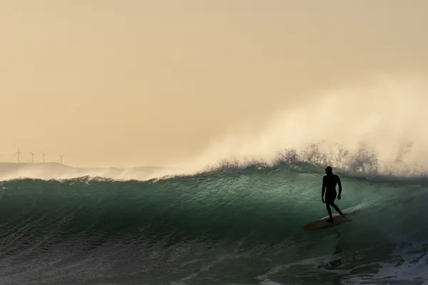 Surfer On A Golden Wave by Shawn Orbe