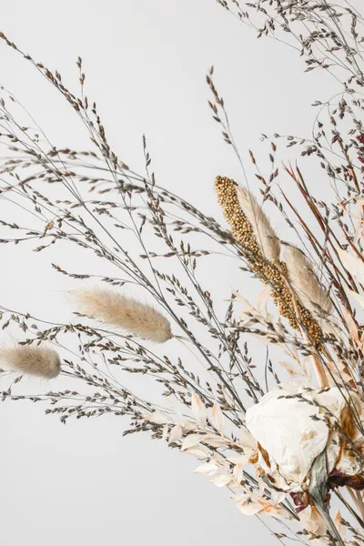 White Rose Dried Bouquet by Pictufy Studio III