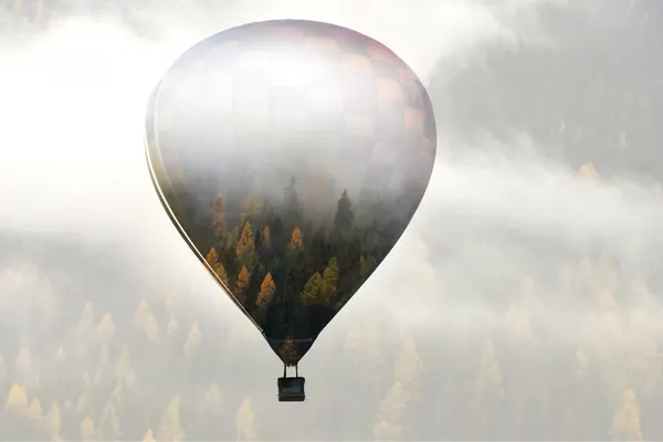 Misty Forest Balloon Flight by Eros Erika