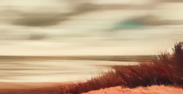 Dreamy Coastal Dunes by Sherin.Abdou