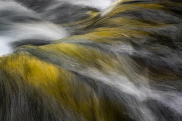 Golden Fluid Flow by Masaki Sugita