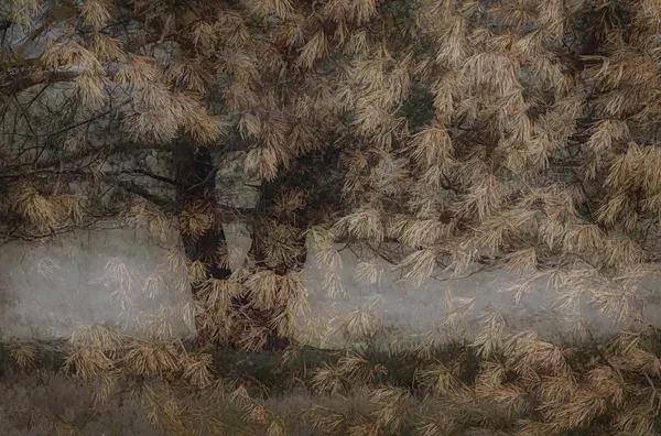 Pine tree by Nel Talen
