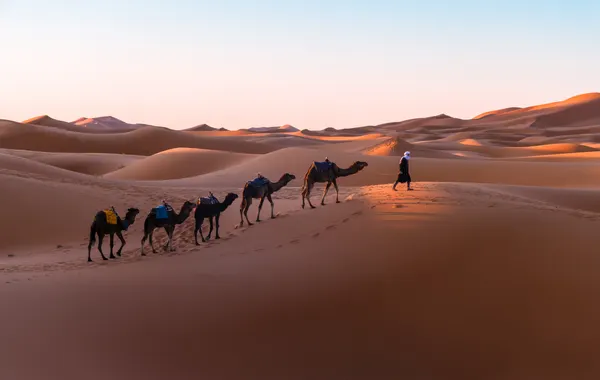 Sahara Sunset Caravan by DonnaHom APA