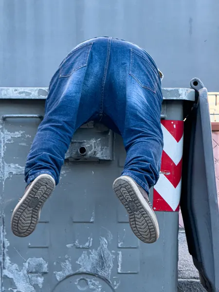 Searching The Dumpster by Raffaele Maglione