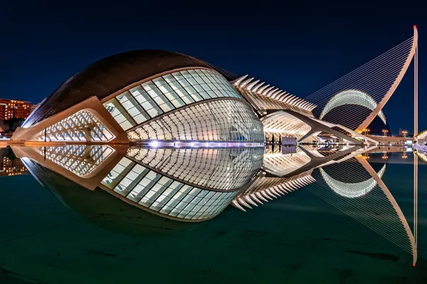 Valencia Night Architecture Reflection by iuliana pasca