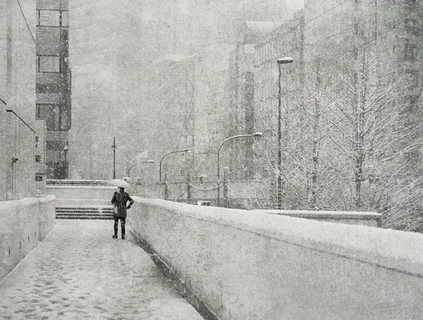 Solitary Winter Walk by Yasuhiro Takachi