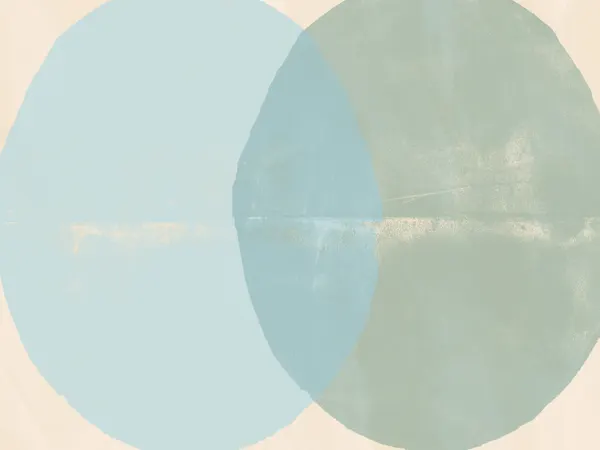 Soft Geometric Overlap by Dina Dankers