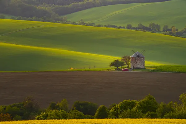 Green Rolling Hills Windmill by Eros Erika