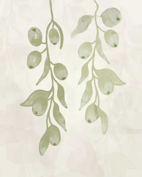 Olive Branches Watercolor by Sannel Larson