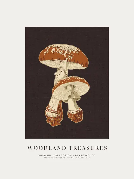 Woodland Treasures Mushrooms by Alexandra Weise