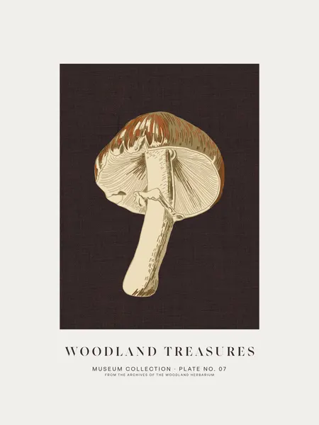 Vintage Botanical Mushroom by Alexandra Weise