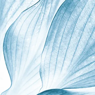 Soft Blue Leaves, wall art by Beth Buelow