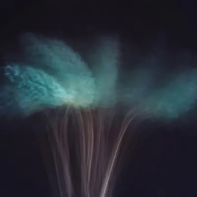 Ethereal Light Bloom, wall art by Cicek Kiral