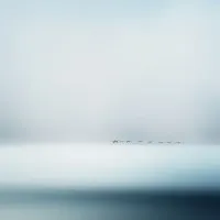 Misty Horizon Bird Flight, wall art by Piet Flour