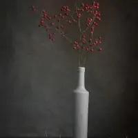 Red Berry Still Life, wall art by Lydia Jacobs