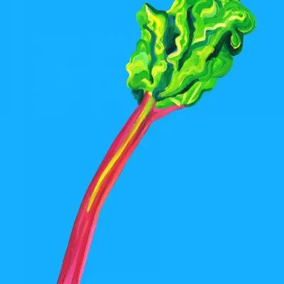 Fresh Rhubarb Stalk, wall art by Alice Straker