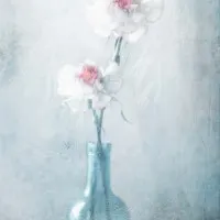 Dreamy Floral Still Life, wall art by Delphine Devos