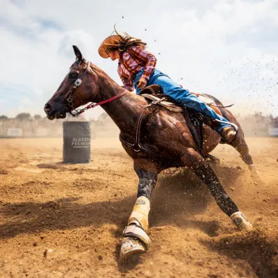 Dynamic Barrel Racing, wall art by Steven Zhou
