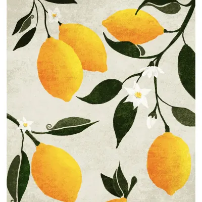 Citrus Symphony, wall art by Emel Tunaboylu