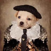 Regal Puppy Portrait, wall art by Tammy Swarek