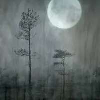 Misty Moon Forest, wall art by Christina Sillèn
