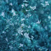 Dreamy Blue Garden Flowers, wall art by Delphine Devos