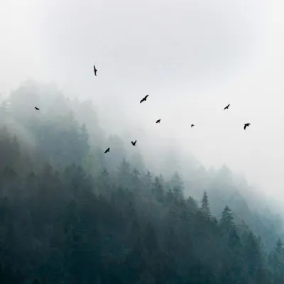 Foggy Morning 4, wall art by Mareike Böhmer