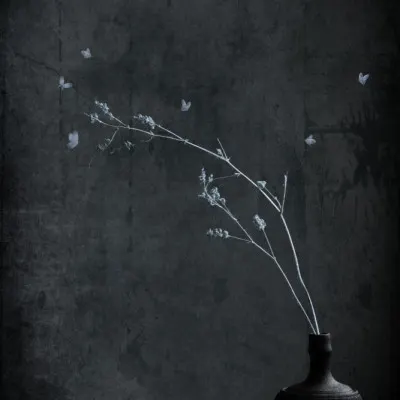 Minimalist Branch With Butterflies, wall art by Cicek Kiral